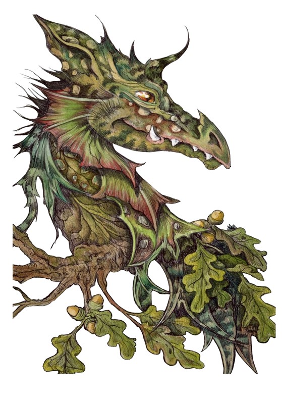 Oak Dragon